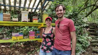 AYNI- Santuario de abejas - 3