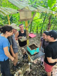 AYNI- Santuario de abejas - 2