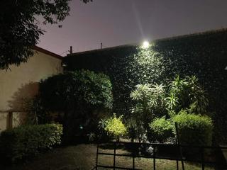 Hotel Boutique Ma Emilia - Cuernavaca - 3