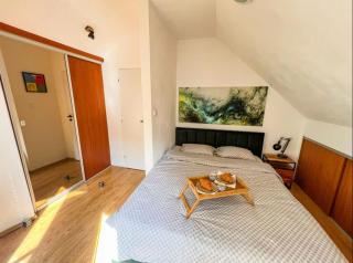 BNB Pilot Otto Smik Apartment - Vinohrady - 8