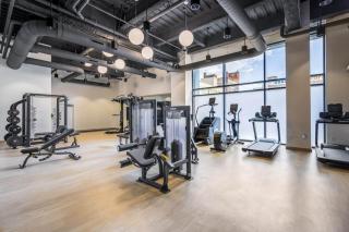 LUX Studio King Bed Gym Free Parking - 5