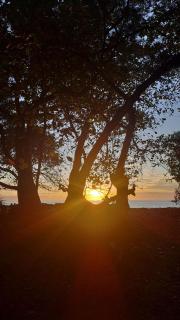 Anez Cabin'S - Cabuya - 3