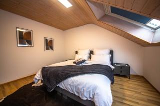 Belleview Luxury Apartment - Mössingen - 4