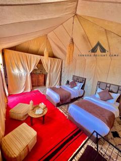 Sahara Delight Camp - Merzouga - 8