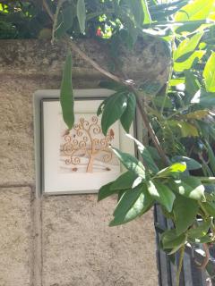 Casa dei glicini - Follonica - 5