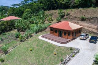 Grenada Countryside Cabin - 5
