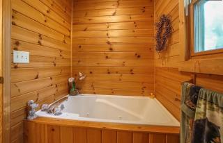 Bearly Rustic - Townsend - 1