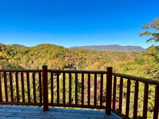 Can't Bear to Leave - Indoor Pool - Sevierville - 8