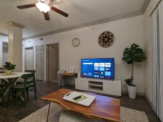 The Green Room 2 - 1BD 1BA near NASA JSC - 7