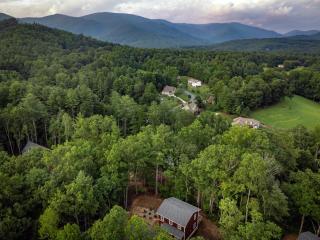Serene retreat minutes from downtown Asheville - Fairview - 2