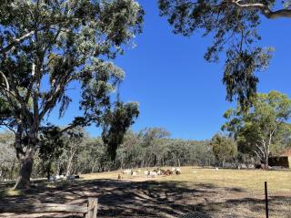 Blue Gate Cottage - 8