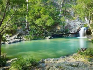 Nordic Star Maleny - Sleeps 10, Stroll to Town, See Platypus in the Lake! - Maleny - 7