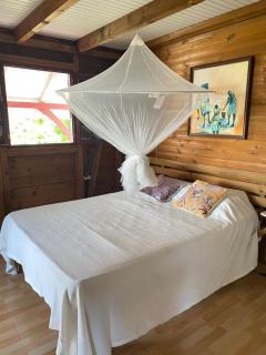 Les Trésors du Diamant 2 - 3