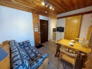 Studette rénovée pour 2 au pied des pistes, centre Les Deux Alpes - FR-1-516-134 - Les Deux Alpes - 9