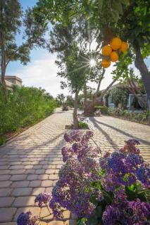 Villa Atlas piscine privée sans vis à vis AGADIR - Riaïna - 6
