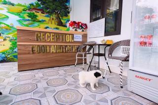 Family Homestay, Mountain Flower - Ninh Binh - 2