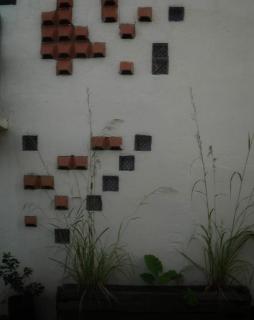roc rach homestay - Ấp Tân Hà - 2
