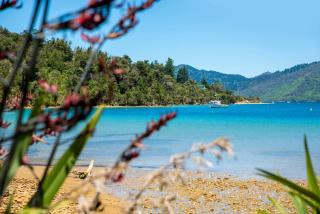 No Road Inn in Endeavour Inlet, Marlborough Sounds - 4