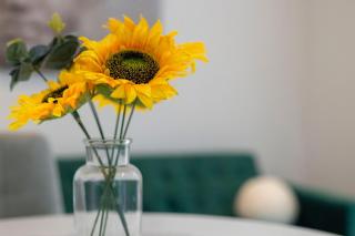 Unique Stylish Duplex 2BR 2BA Balcony - Londra - 1