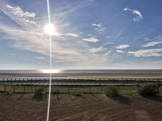 Studio avec vue sur la lagune, parking et animaux admis - FR-1-194-293 - La Faute-sur-Mer - 8
