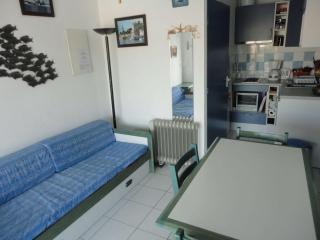 Appt climatisé, 4 pers, piscine et parking - Le Grau-du-Roi - FR-1-250-300 - Le Grau-du-Roi - 7