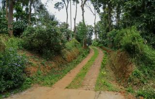 Mahika Heritage Villa - 2