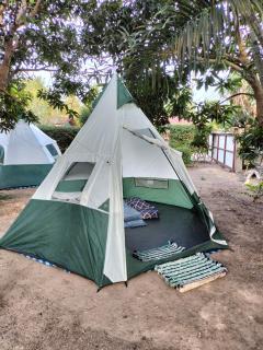 TENT GREEN MAIKHAO ISLANd - - 7