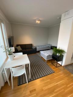 Yksiö Kakolassa - Turku - 7