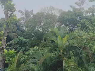 Dp Villa - 1