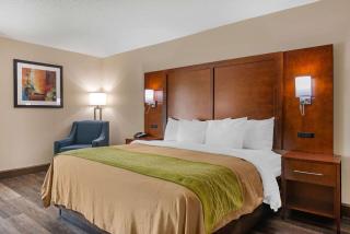 Comfort Inn Yulee - Fernandina Beach - Yulee - 7