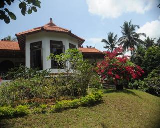 Green hill dream - Karangasem - 6
