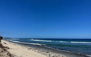 Appartement Aloe et Veloutier à 2min de la plage et lagon - Saint-Gilles-les-Bains - 7