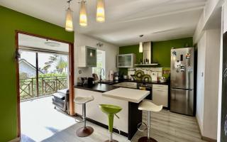 Appartement Aloe et Veloutier à 2min de la plage et lagon - Saint-Gilles-les-Bains - 3
