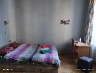 Eka's apartment on Marjanishvili - Tbilisi - 9