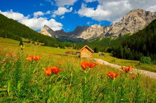 Relais San Giusto - Campitello di Fassa - 4