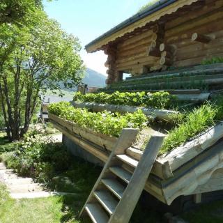 Magnifique chalet bois pour 16 personnes à 1600m - La Cabanasse - 6