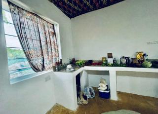 House with beautiful garden for rent in Kizimkazi - 4