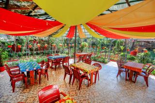 Hotel Failaka - Benaulim - 3