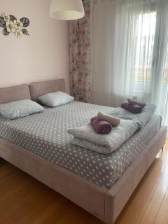 Apartment Elefant 021 - Novi Sad - 0