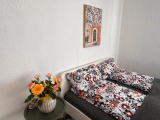 Modern flat DE -CH- Airport -Parking - Huningue - 8