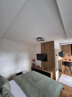 Apartman Milica - Temerin - 1