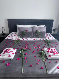 Waterfront Belgrade Peaceful Nest Apartment - Belgrado - 7