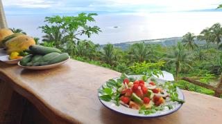 Eco Farm Romantic Stone House 700 meters above sea level at Camiguin Island - Mambajao - 6