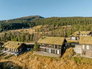 Modern Cabin With Ski In Out At Kvitfjell - Favang - 0