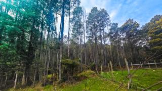 Marysville Adventure Retreat - 3