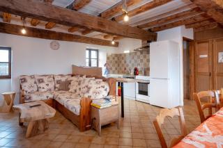 Les hirondelles - Saint-Maurice-de-Rotherens - 7