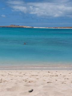 Vista Oceano - Boa Vista Island - 8
