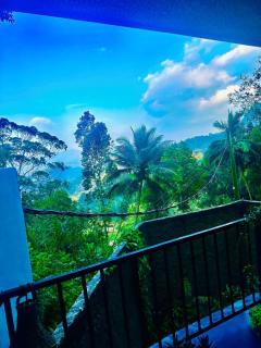 Shining Green View - 1