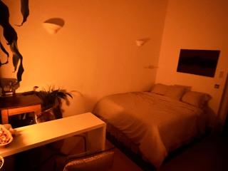 Cosy private room with Shared Bathroom facilities - Londra - 3