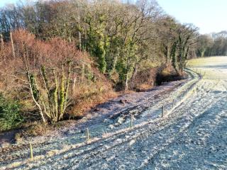 Lydvale Lodge - Lifton - 8